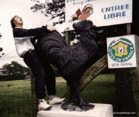 rooster_hump rooster_hump