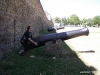 cannon_humping