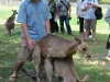 random-humping-18