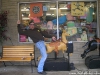 random-humping-2_0