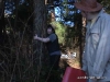 random-humping-4