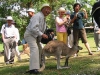 random-humping-5 random-humping-5