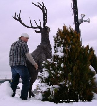 Deer Hump