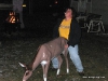 girl_humping_deer_ihumpthings