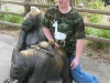 gorilla_hump_ihumpthings gorilla_hump_ihumpthings