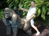 gorilla_humping