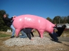 pink_pig_hump-ihumpthings