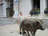 statue-humping-138