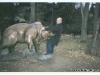 statue-humping-21