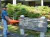 statue-humping-3