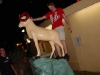 statue-humping-31