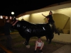 statue-humping-69