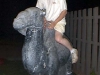 statue-humping-78
