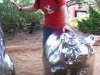 statue-humping-98